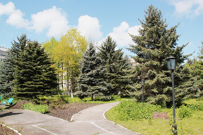 Санаторий &laquo;Голубые ели&raquo;, Нальчик, изображение 3