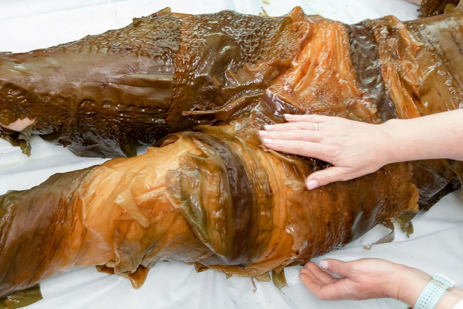 Санаторий &laquo;Предгорье Кавказа&raquo;, Горячий Ключ, изображение 11