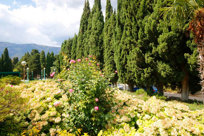 Санаторий «Узбекистан», Ялта, изображение 10