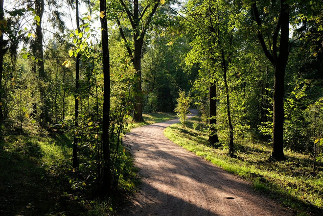 Санаторий &laquo;Переделкино&raquo;, Московская обл, изображение 13