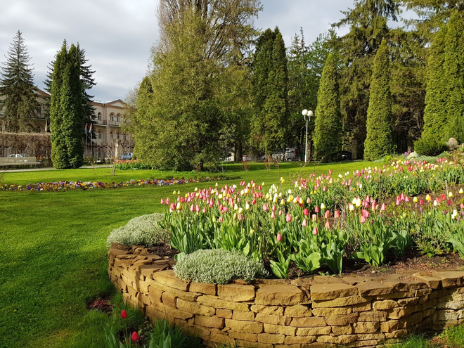 Санаторий &laquo;Москва&raquo;, Ессентуки, изображение 7
