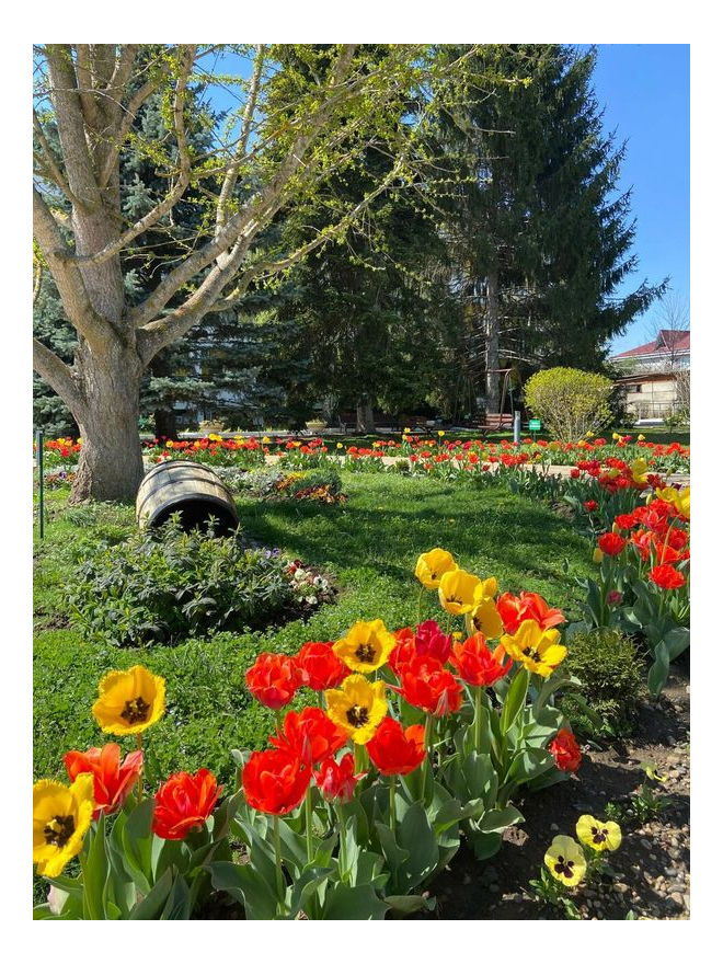 Санаторий &laquo;Русь&raquo;, Горячий Ключ, изображение 11