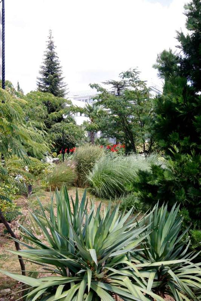 Санаторий «Узбекистан», Ялта, изображение 5